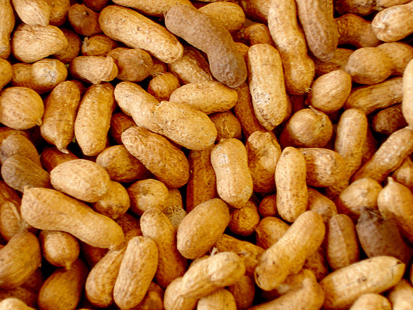 Erdnüsse gesund Inhaltsstoffe